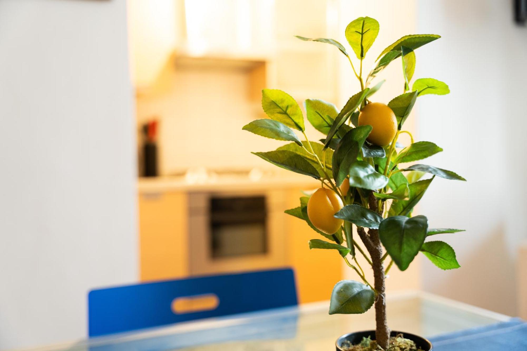 Nice Quiet Flat In Pta Venezia Mediolan Zewnętrze zdjęcie